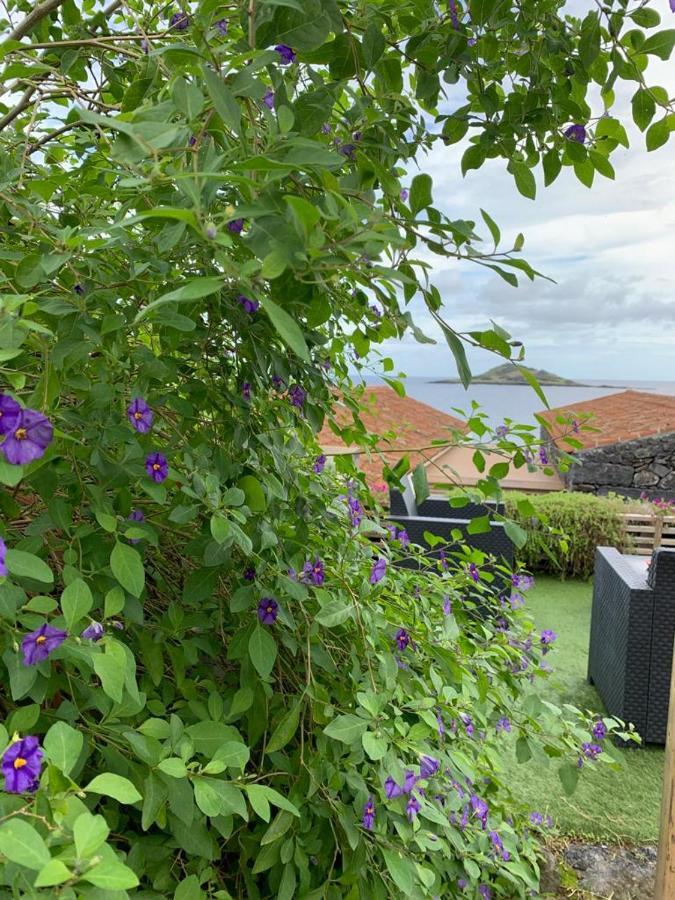 Portas Do Ilheu Villa Praia da Graciosa Luaran gambar